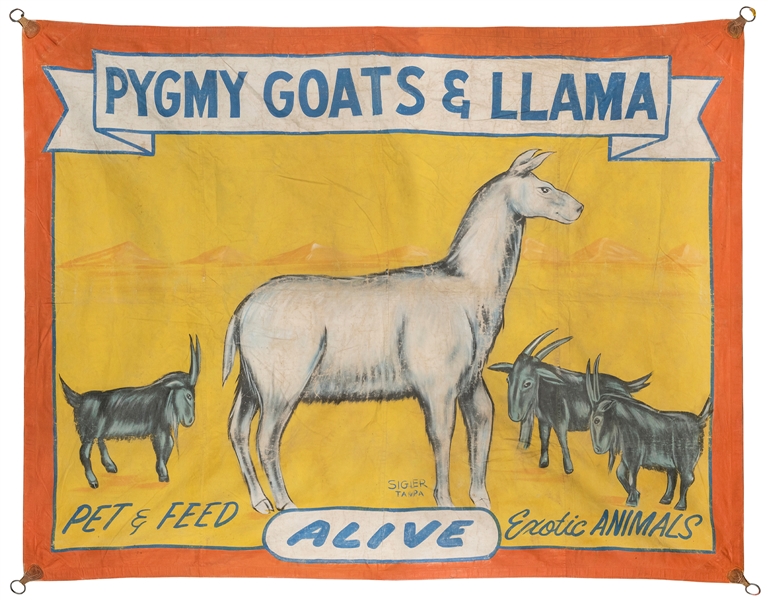  Pygmy Goats & Llama Sideshow Banner. Tampa, FL: Sigler. Pai...