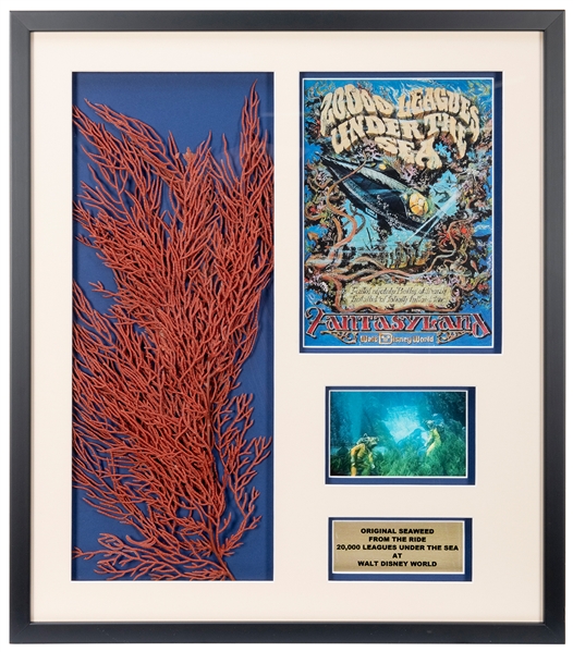  20,000 Leagues Under the Sea Seaweed. Walt Disney World, 19...