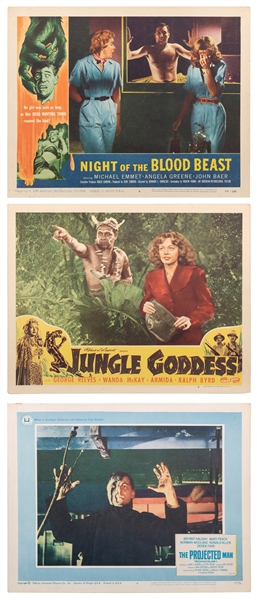  Horror and Sci-Fi Lobby Cards and Posters. Thirteen pieces ...