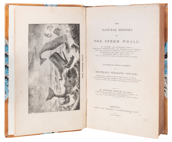 [WHALING]. BEALE, Thomas (1807–1849). The Natural History o...