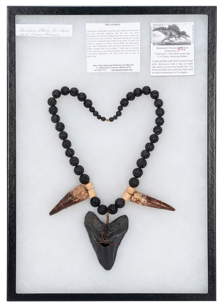  [JEWELRY] Megalodon Tooth Necklace. Large Megalodon tooth i...
