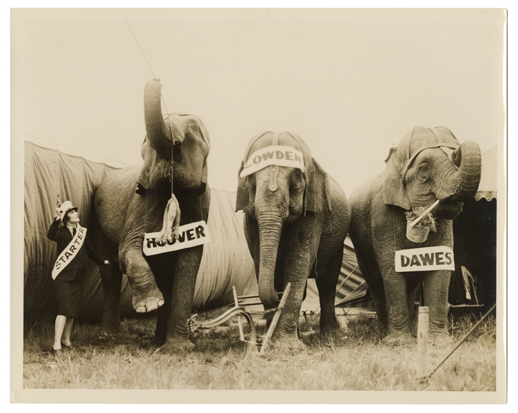  [CIRCUS]. A photograph of 3 elephants running for “vice pre...