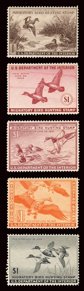  RW9-13 Duck Hunting Stamps. Group of 5 Federal duck hunting...