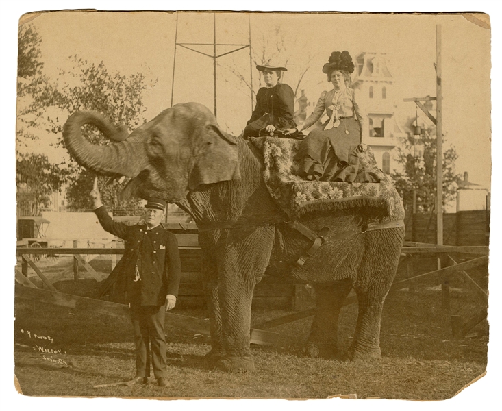  [CARNIVAL]. Early Savannah, Georgia carnival elephant photo...