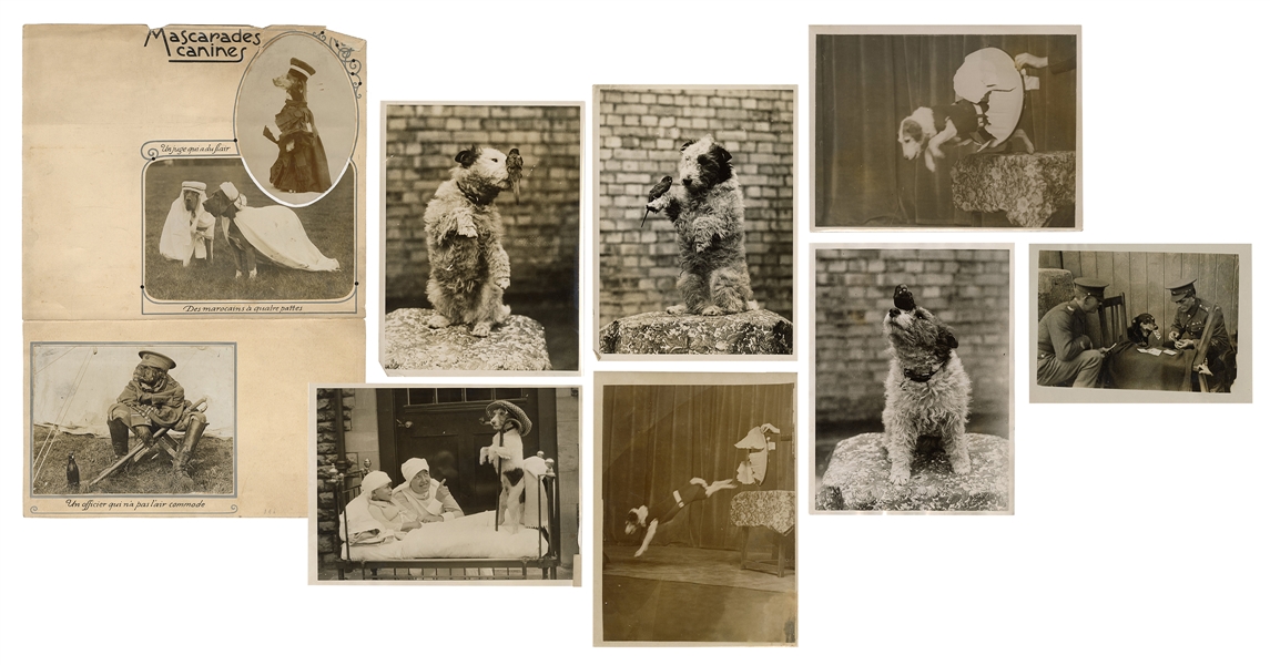  [TRAINED DOGS]. Ten photographs of performing and trained d...