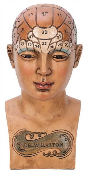  Dr. Willarton Phrenology Bust. American, ca. 1890s. Life si...