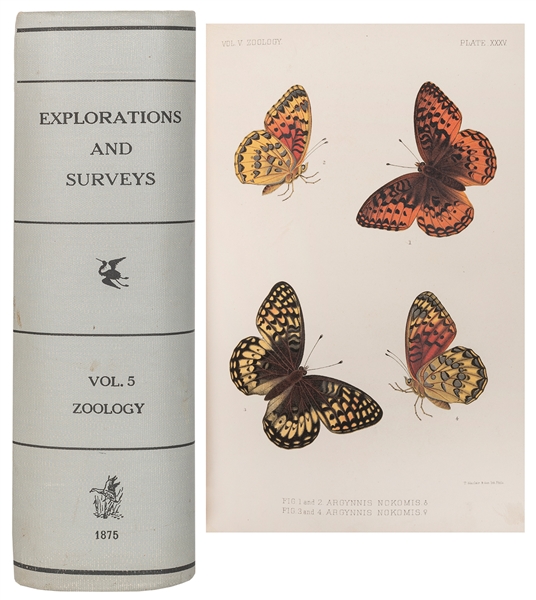  [EXPLORATION]. WHEELER, George M. and H.C. YARROW. Report U...