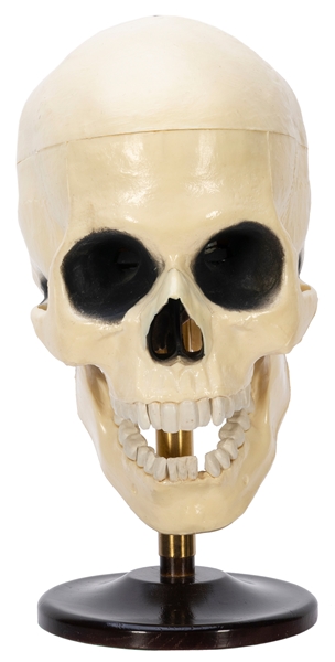  Radio-Controlled Talking Skull. Colon: Abbott’s (Arturo), c...