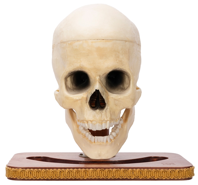  Talking Skull. Colon: Abbotts Magic Mfg., ca. 1990. Imitat...