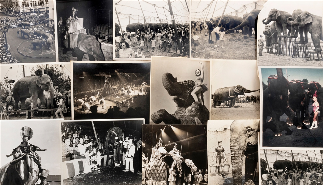  [CIRCUS—ELEPHANTS]. Lot of circus elephant photographs. Bul...