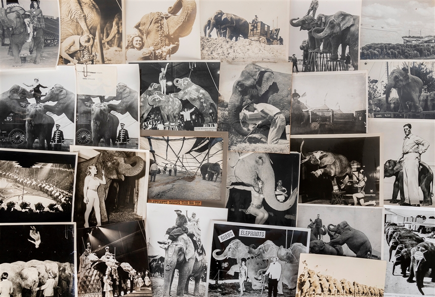  [CIRCUS—ELEPHANTS]. Collection of circus elephant photograp...