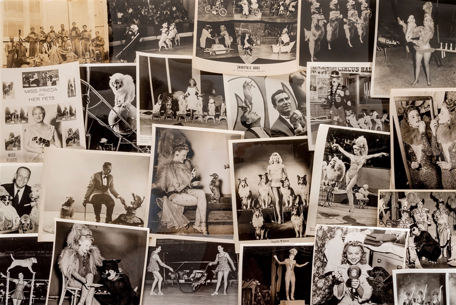  [CIRCUS—DOGS]. Lot of circus and performing dog photographs...