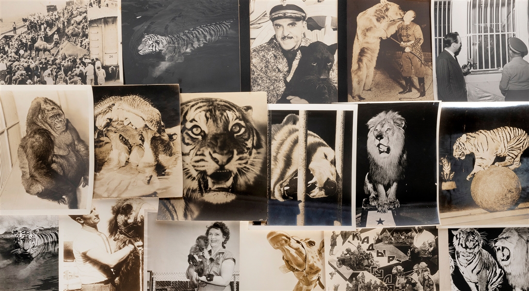  [CIRCUS ANIMALS]. Collection of photographs. Mid-20th centu...