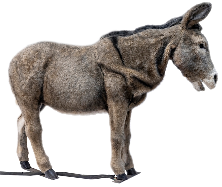  “Zeph” The Animatronic Donkey Display. Lifesize animatronic...