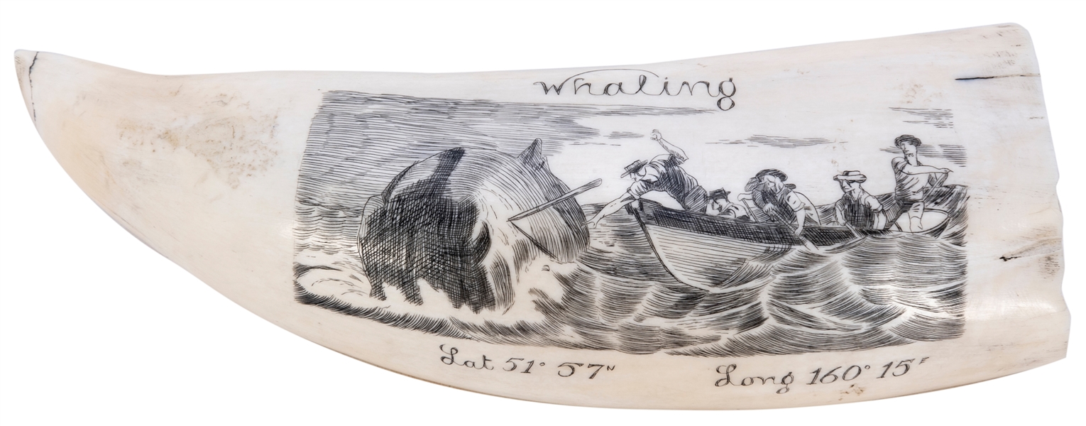  Scrimshaw whale tooth with whaling scene. “Whaling Lat. 51 ...