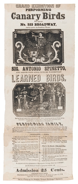  SPINETTO, Antonio. Grand Exhibition of Performing Canary Bi...