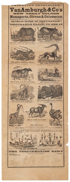  Van Amburgh & Co’s New Great Golden Menagerie, Circus, and ...