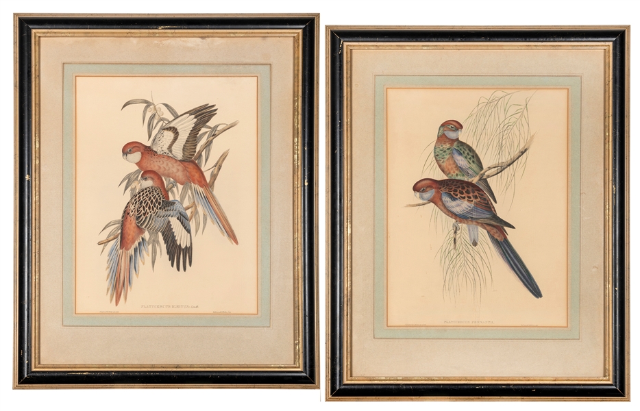  [TRAVEL & EXPLORATION –– NATURAL HISTORY]. GOULD, John (180...