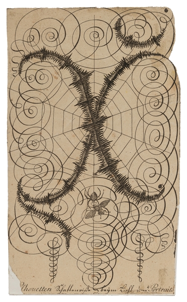  [ARTIST UNKNOWN]. Spider Web with Spider and Fly. Ink on pa...