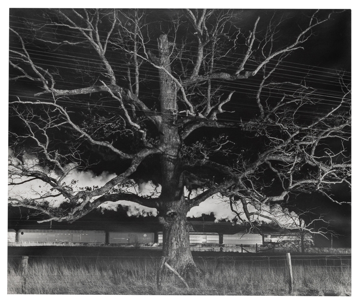  [PHOTOGRAPHY]. LINK. O. Winston (American, 1914-2001). West...