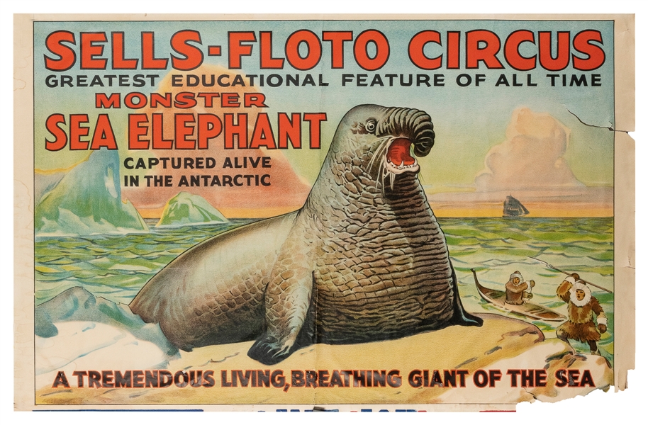  Sells-Floto / Monster Sea Elephant. Circa 1900-1930s. Sells...