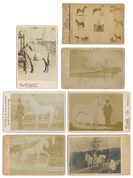  [HORSES]. Seven Cabinet Card Photographs of Trained Horse A...