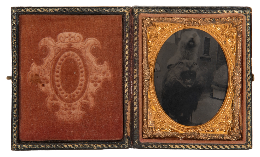  Eighth-Plate Tintype of a Dog on a Lion. 19th century. Case...