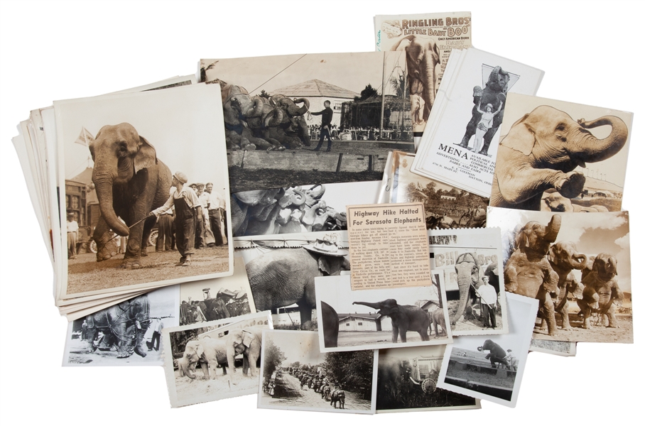  [CIRCUS—ELEPHANTS]. Group of approximately 70 photographs a...