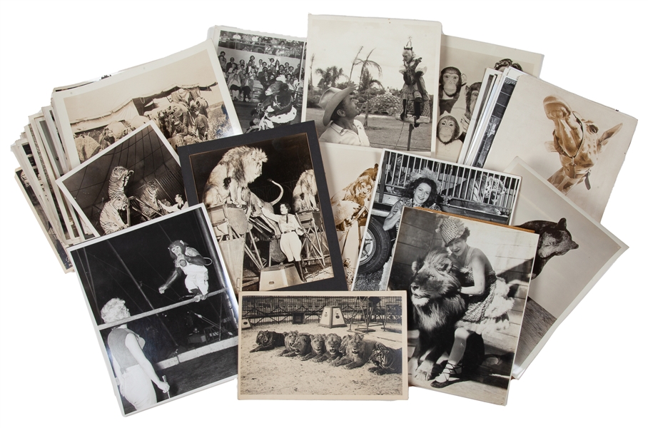  [CIRCUS]. Large group of circus animal photographs. V.p., 2...