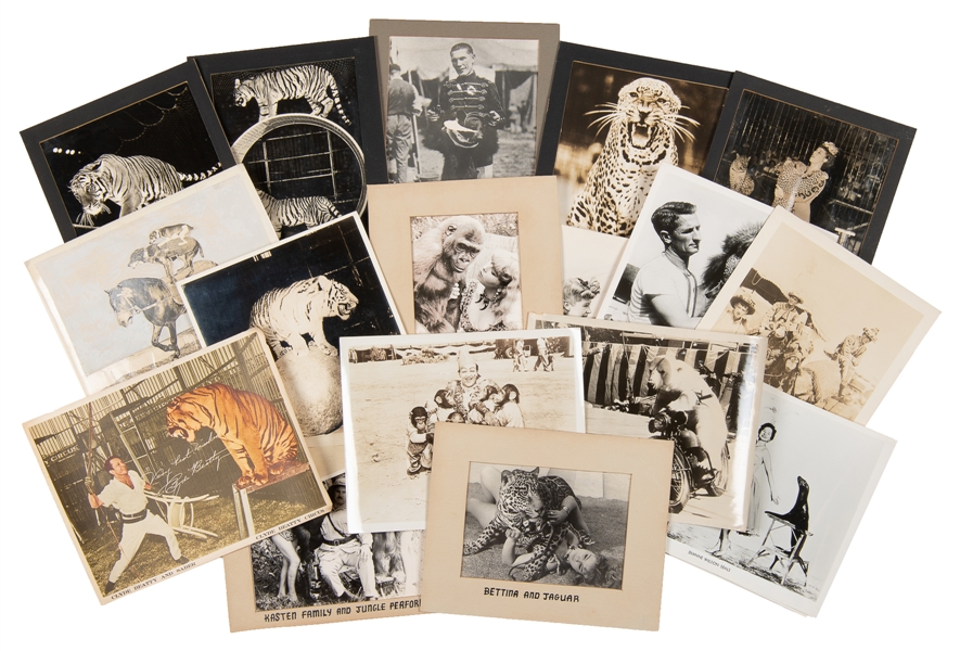  [CIRCUS]. Group of approximately 30 circus animal photograp...