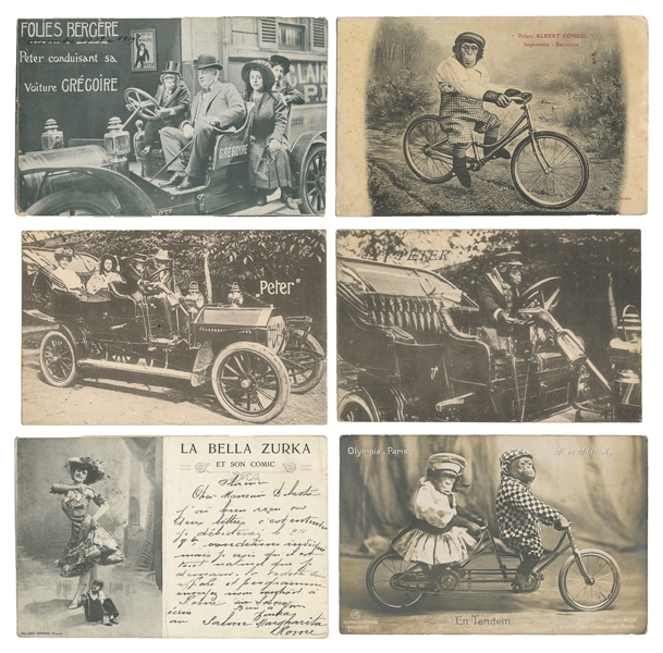  [POSTCARDS]. Nine Postcards of Monkey Acts. European, early...