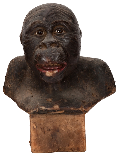  Wax Monkey Bust. Wax bust of a monkey from an anatomical mu...