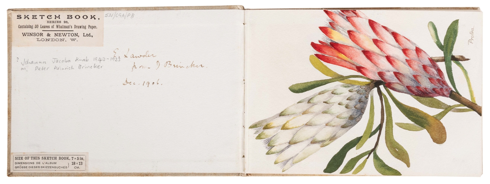  [BOTANICAL WATERCOLORS]. Album of 30 watercolor paintings o...