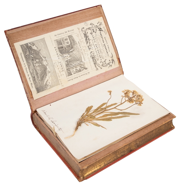  [SPECIMEN ALBUM - ALPINE PLANTS]. PAYOT, Arthur. Flora Alpi...