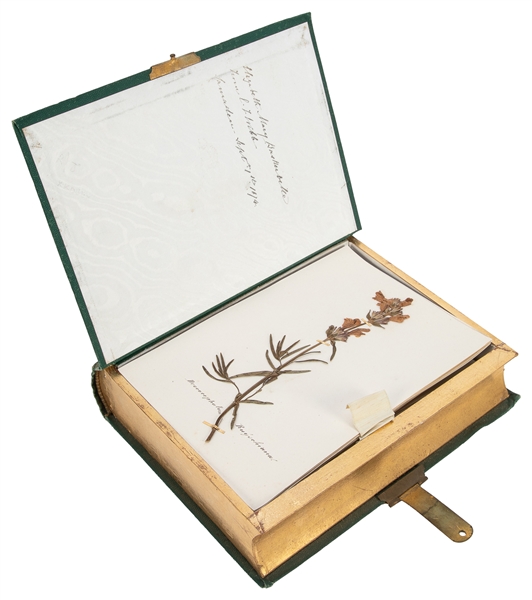  [SPECIMEN ALBUM - ALPINE PLANTS]. Souvenir de l’Engadine, c...