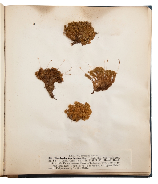  [SPECIMEN ALBUMS - EUROPEAN MOSSES]. RABENHORST, Gottlob Lu...