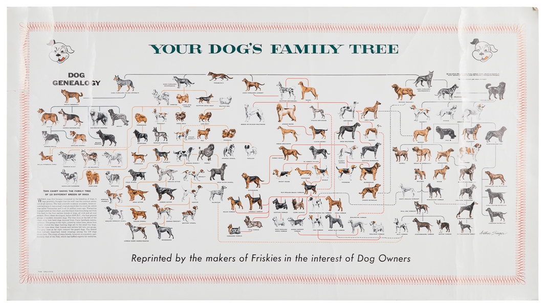  SINGER, Arthur (1917—1990). Your Dog’s Family Tree. Circa 1...