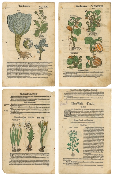  [HAND-COLORED LEAVES]. Group of Four Double-Sided German Bo...