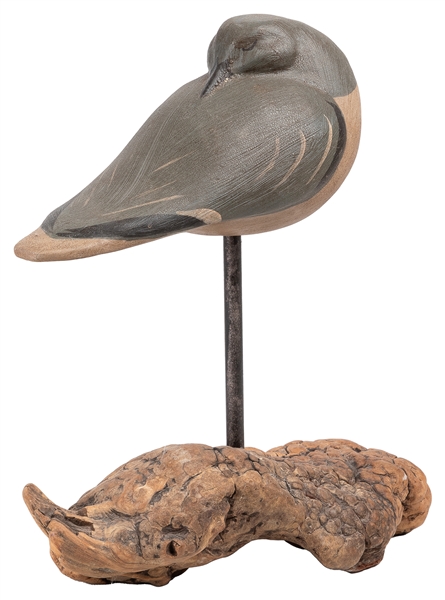  STORM, Peter (American, 20th century). Sleeping Shorebird o...