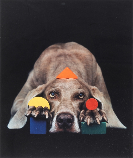  WEGMAN, William (American, b. 1943). Basic Shapes in Color....