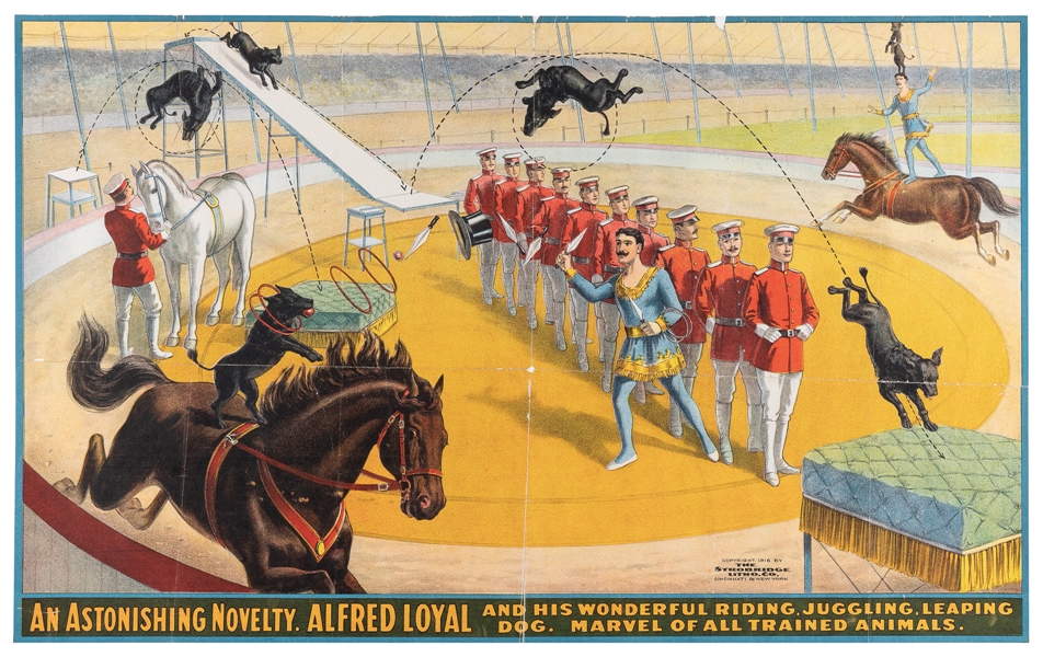  [Ringling Bros.] / Alfred Loyal Trained Dog Show Circus Pos...