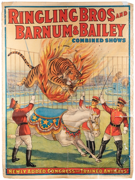  Ringling Bros. and Barnum & Bailey / Tiger Through Ring of ...