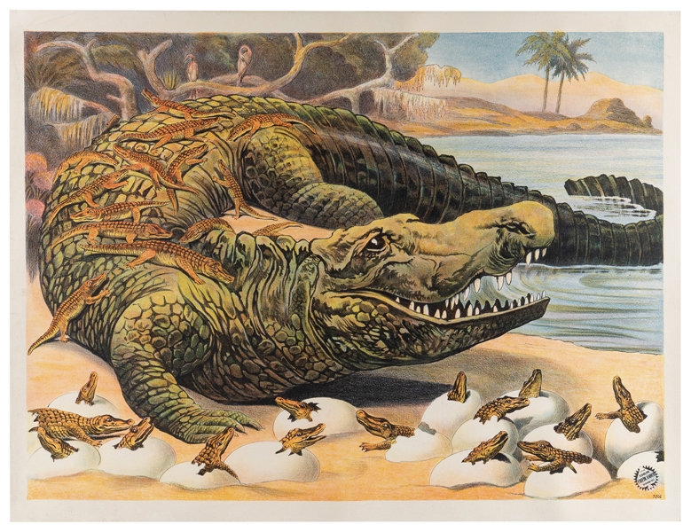  Adolph Friedlander Alligator and Hatchlings Menagerie poste...