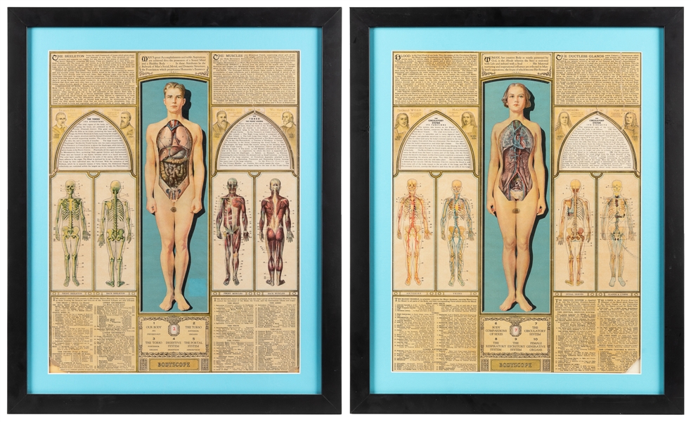  [ANATOMY]. SEGAL, Ralph H. [New York: Bodyscope Publication...