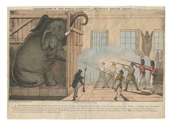  [ELEPHANT]. Destruction of the Noble Elephant. [London]: In...