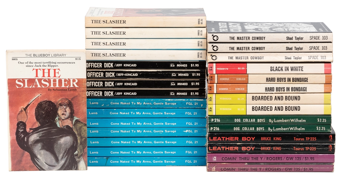  Group of Nearly Gay Erotica 30 Novels from Assorted Publish...