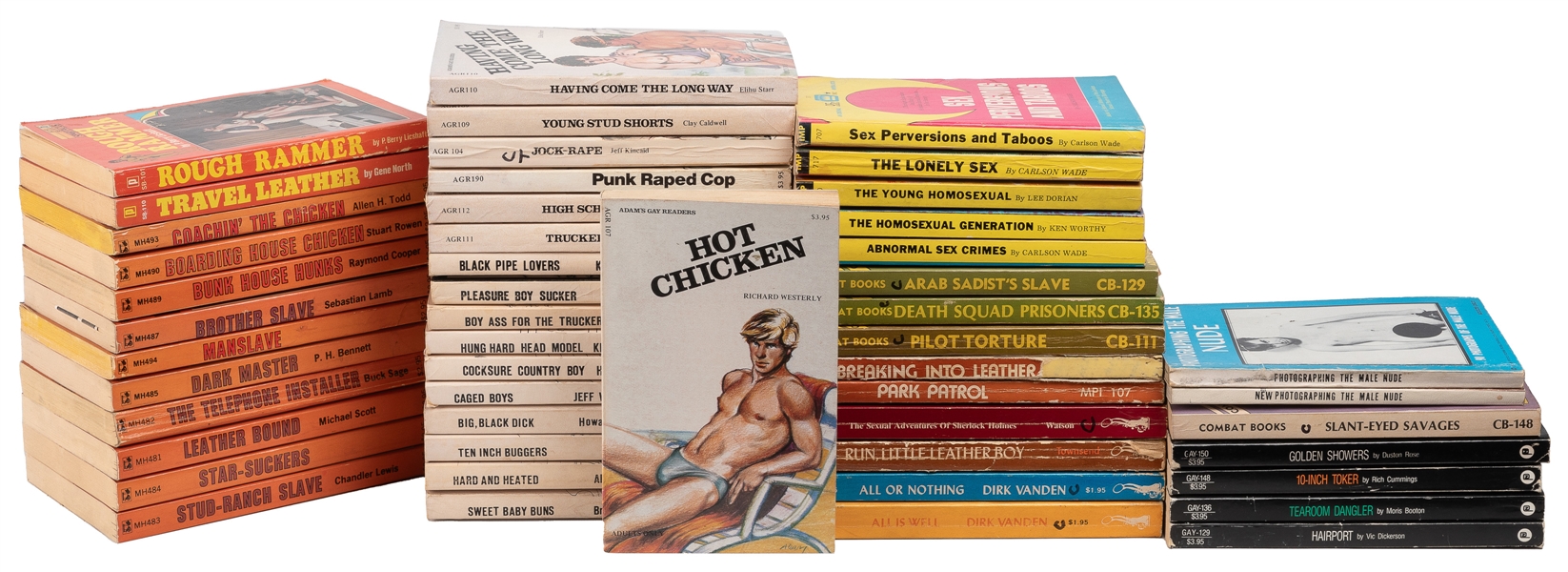  Group of Nearly 50 Gay Erotica Novels in 11 Different Serie...