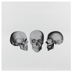  PAJDIC, Predrag (Croatian, b. 1965). 3. (Three Skulls). 200…