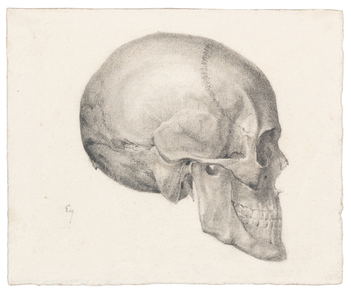  [ARTIST UNKNOWN]. Skull Profile. Not dated. Etching on BFK ...