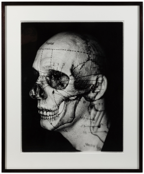  DU TIEL, Katherine (American, b. 1961). Skull/Head (Inside/...